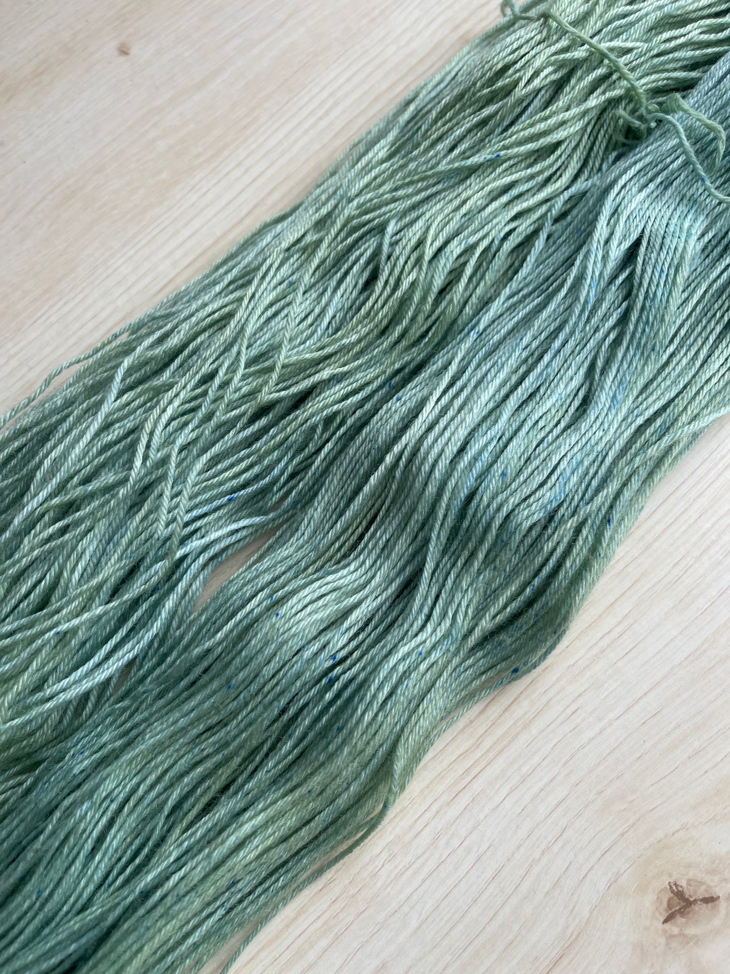 ICY FERN | JOINT DYEING