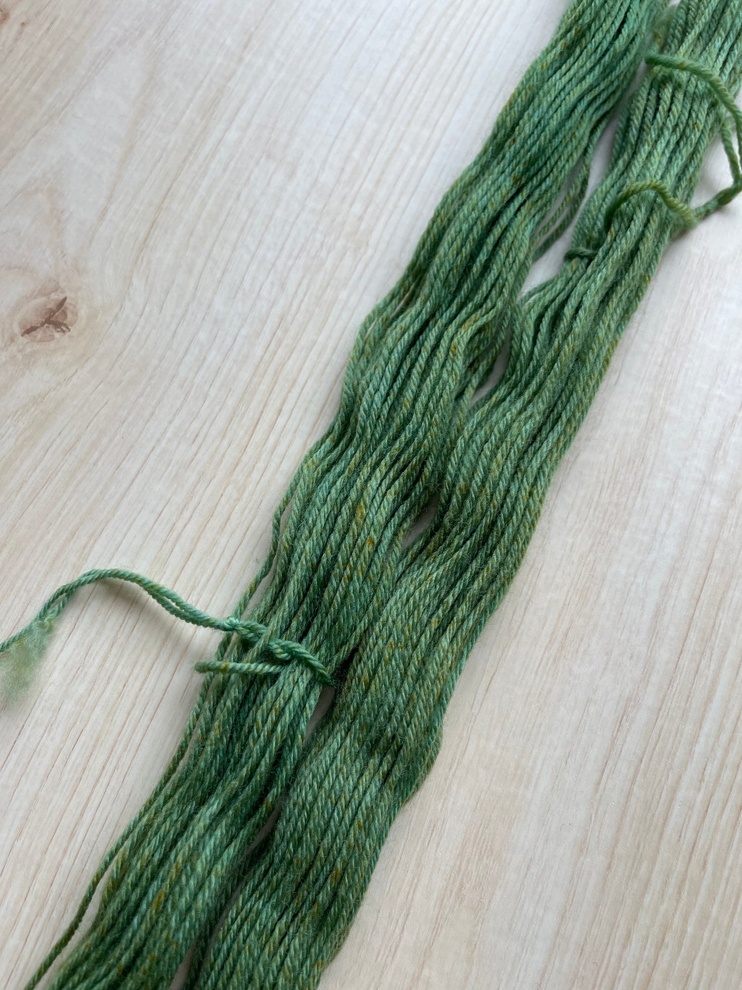 MUTED LEAF | JOB DYEING