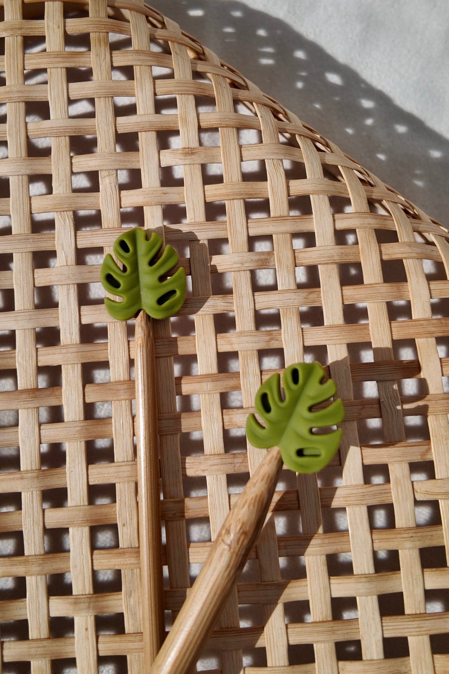NADELSCHUTZ MONSTERA