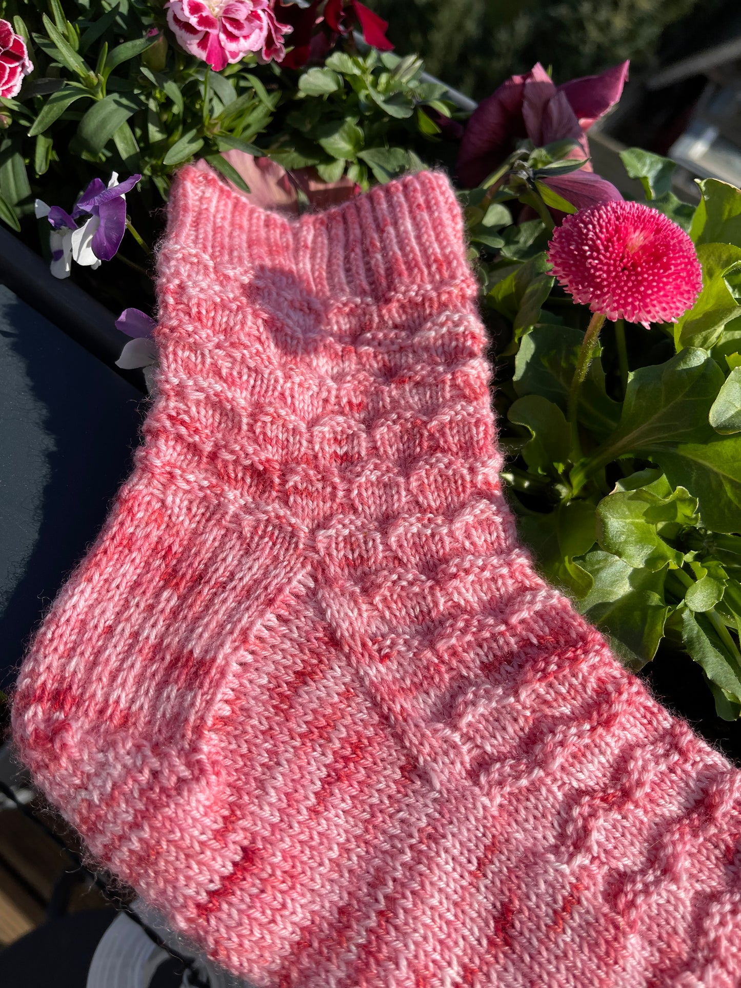 KIRASOCKS_ | KIRASOCKSKIDS_