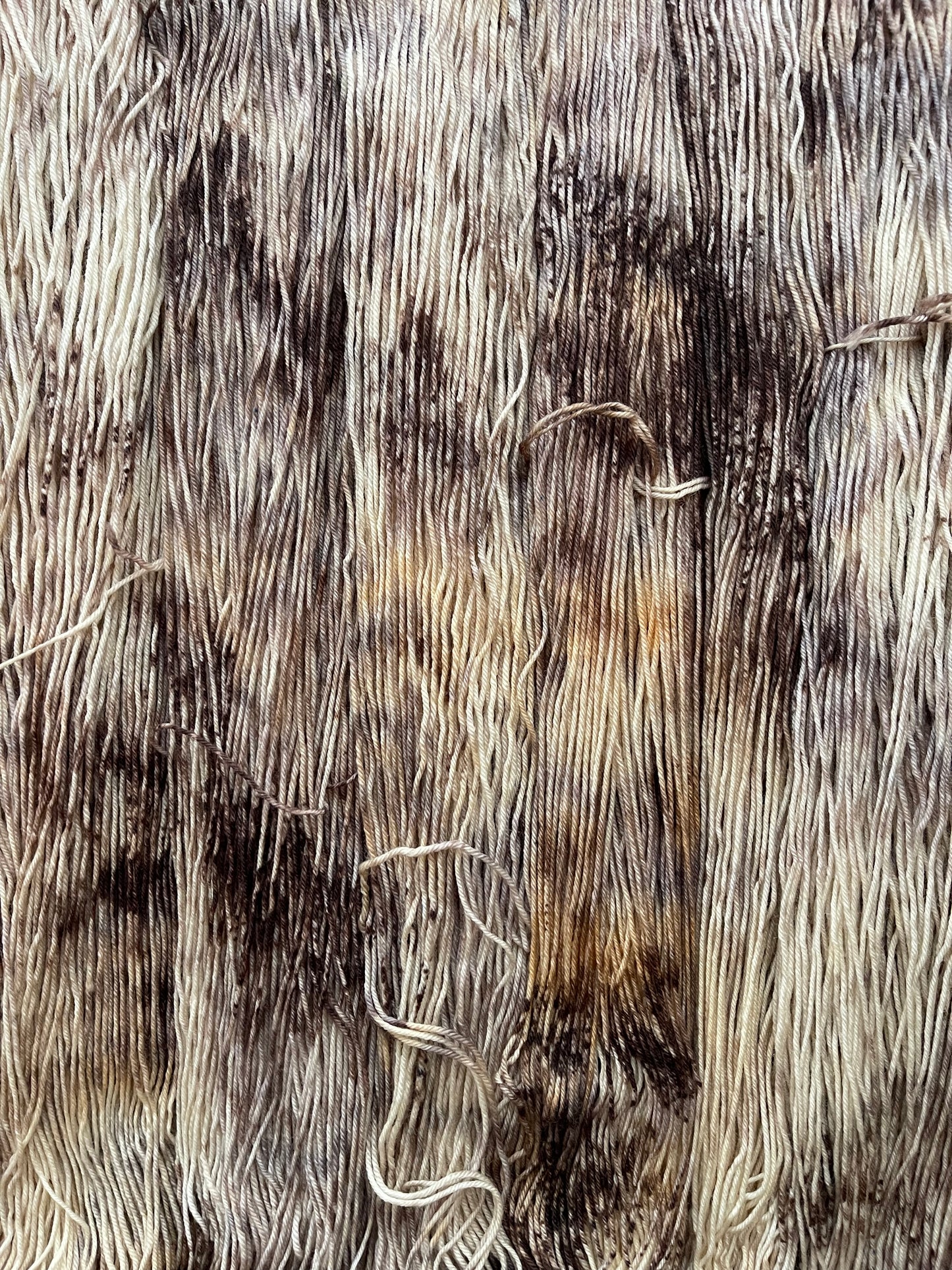 Woodland Retreat Sock