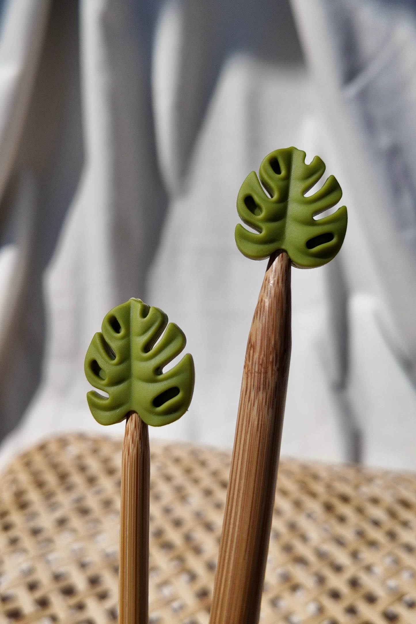 NADELSCHUTZ MONSTERA